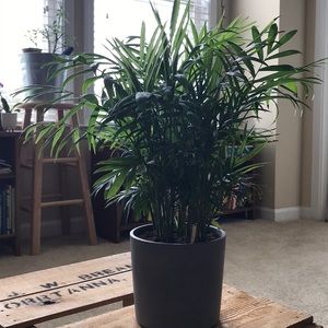 Meet your Posher, Karen